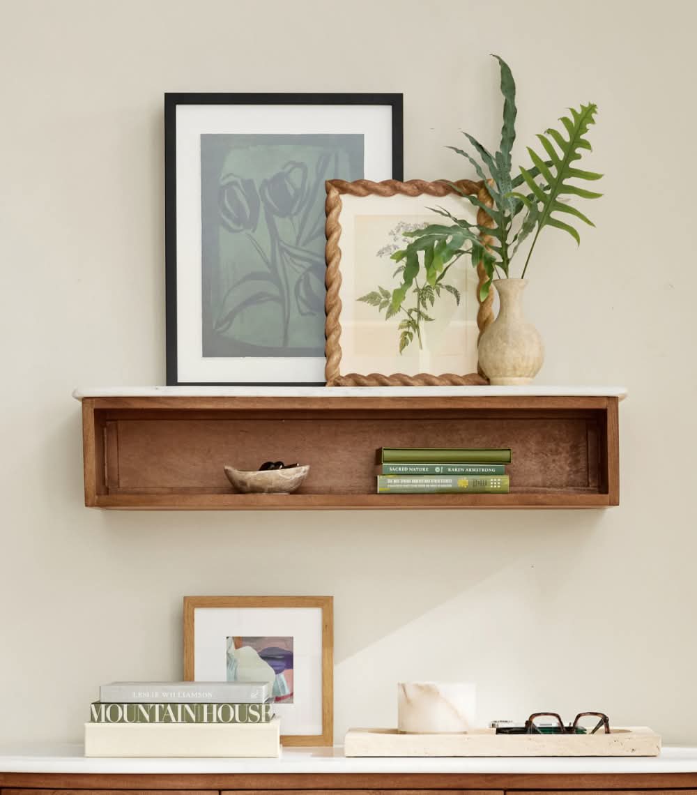 Wall & Display Shelves