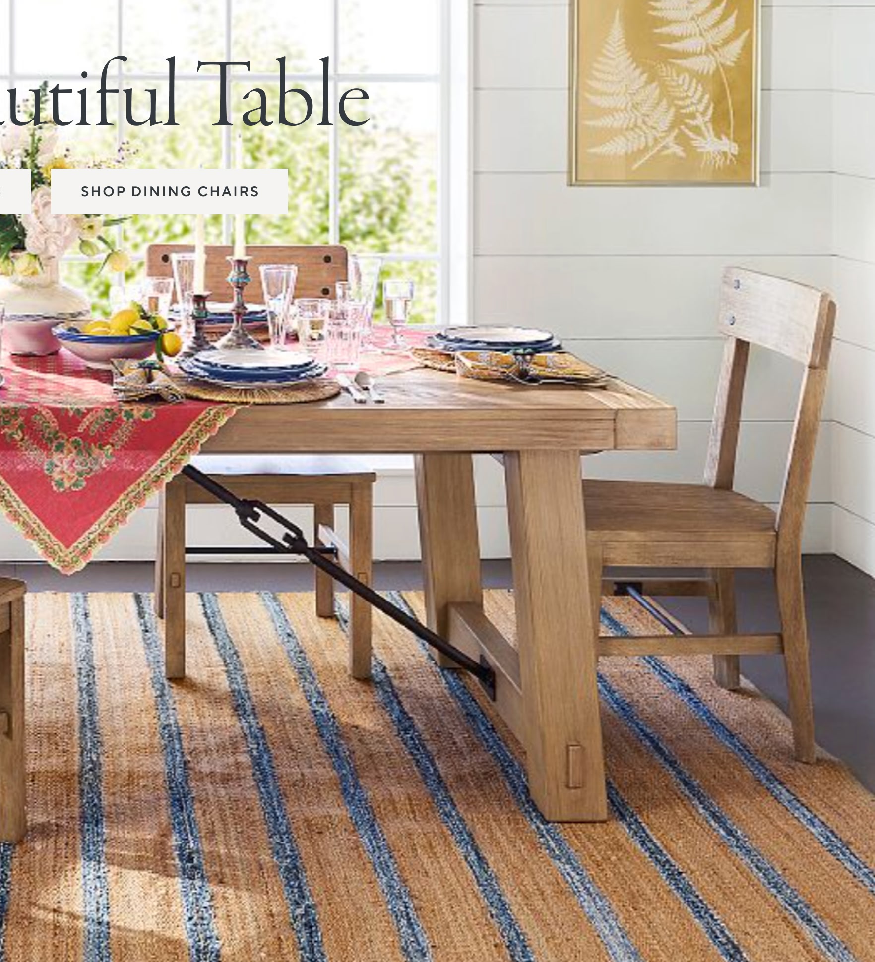 Dining Chairs