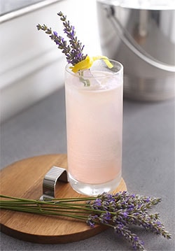 Collins