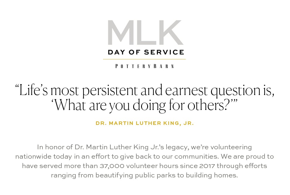 MLK Day Of Service