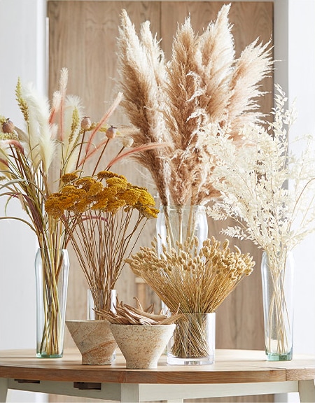 Botanicals
