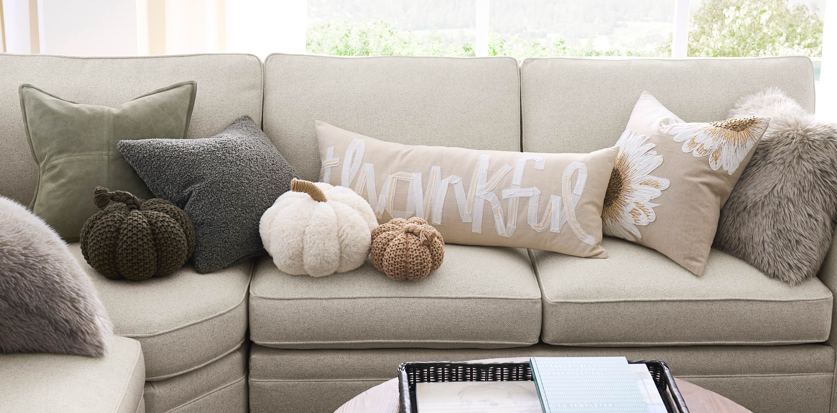 Cozy Pumpkin Pillows Pottery Barn