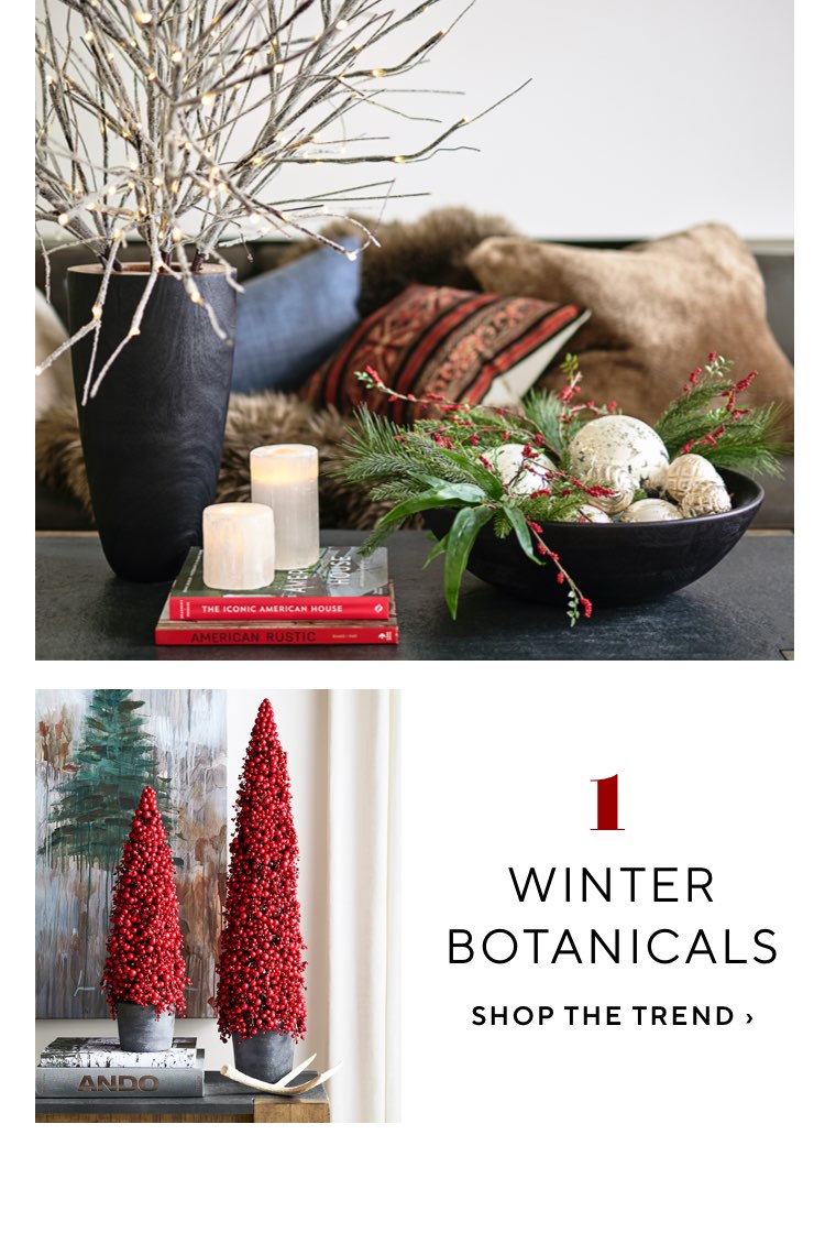 Winter Botanicals