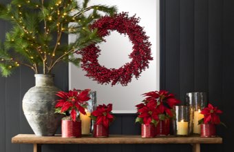 SHOP WREATHS, GARLANDS & BOTANICALS