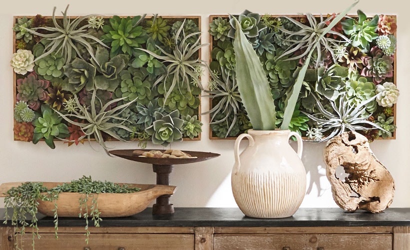DIY Living Wall Ideas Pottery Barn