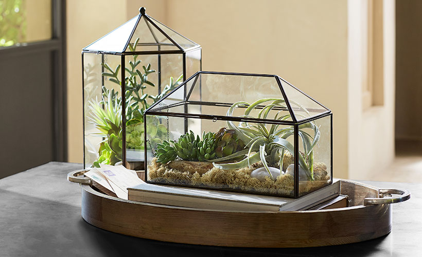 How to Make a Spring Terrarium with Succulents