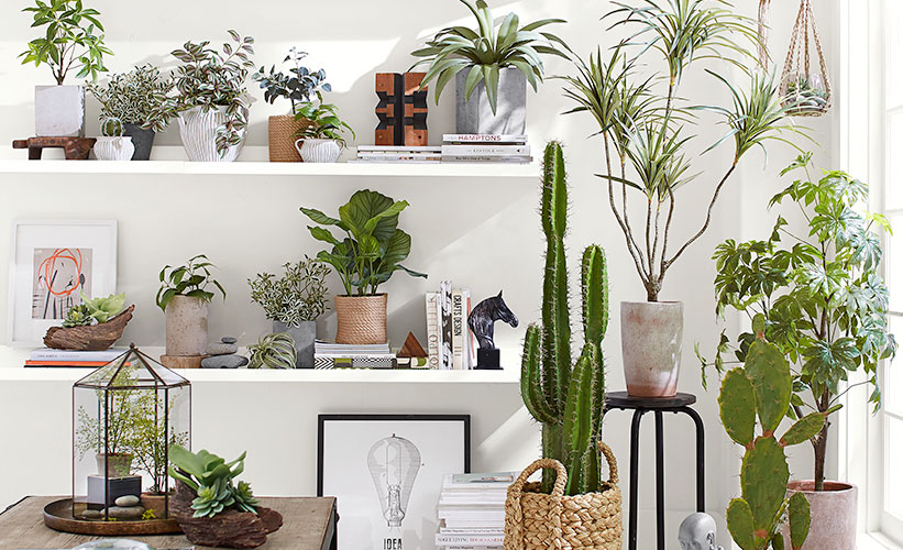 Decorating with Plants: 5 Indoor Hanging Planter Ideas