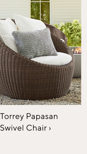 Torrey Papasan Swivel Chair