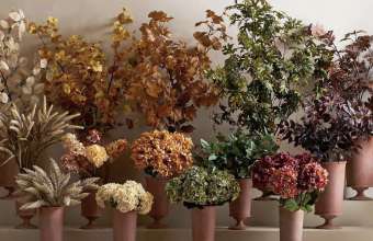 Botanicals & Trees
