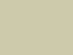 Willow Green Willow Green