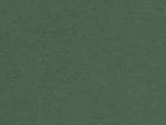 Cedar Green Cedar Green