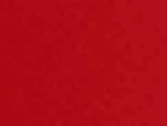 Poppy Red Poppy Red