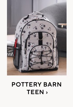 Pottery Barn Teen