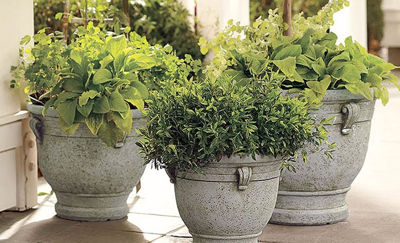 DIY Herb Garden Ideas DIY Herb Garden Ideas