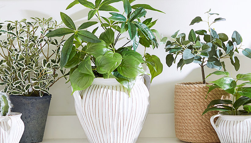 How to Grow Herbs Indoors How to Grow Herbs Indoors
