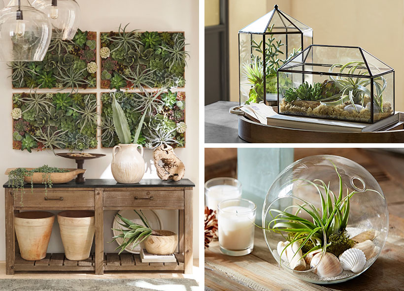 How to Throw a Succulent Party How to Throw a Succulent Party