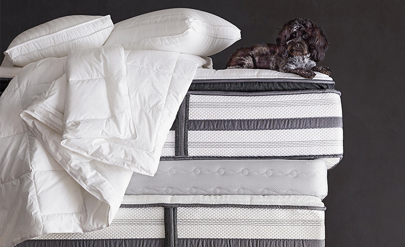How to Choose a Mattress How to Choose a Mattress