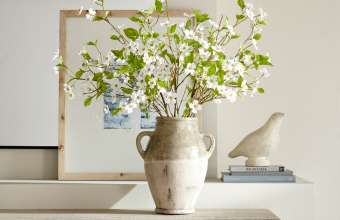 Botanicals