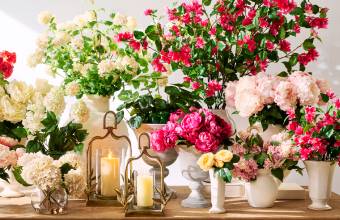 Botanicals