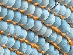 Blue Blue