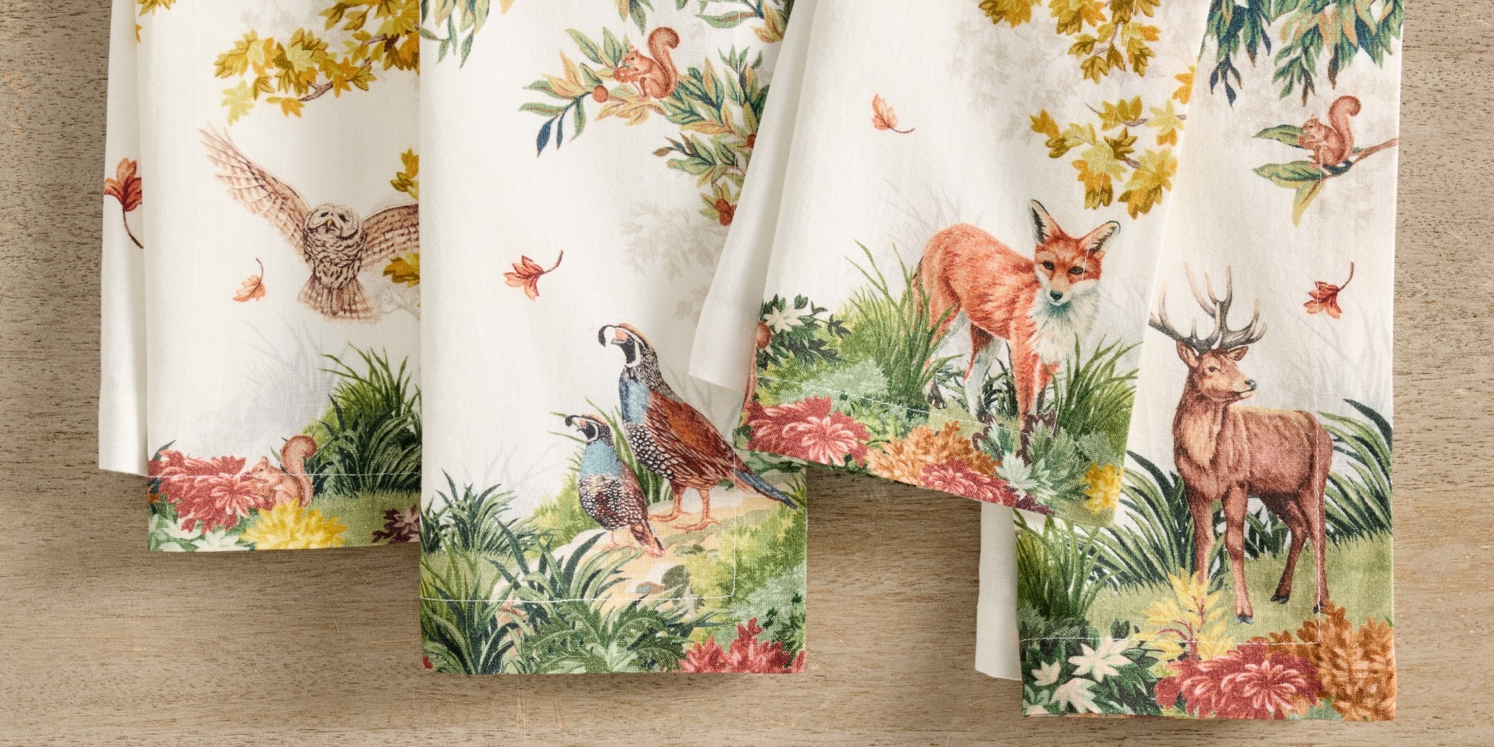 Fantastical Forest