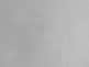 Gray Gray