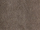 Cappuccino Cappuccino