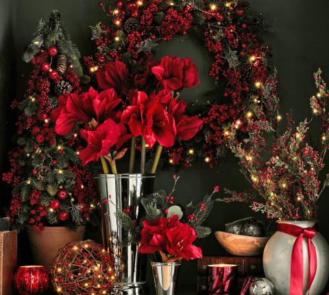 Holiday Botanicals