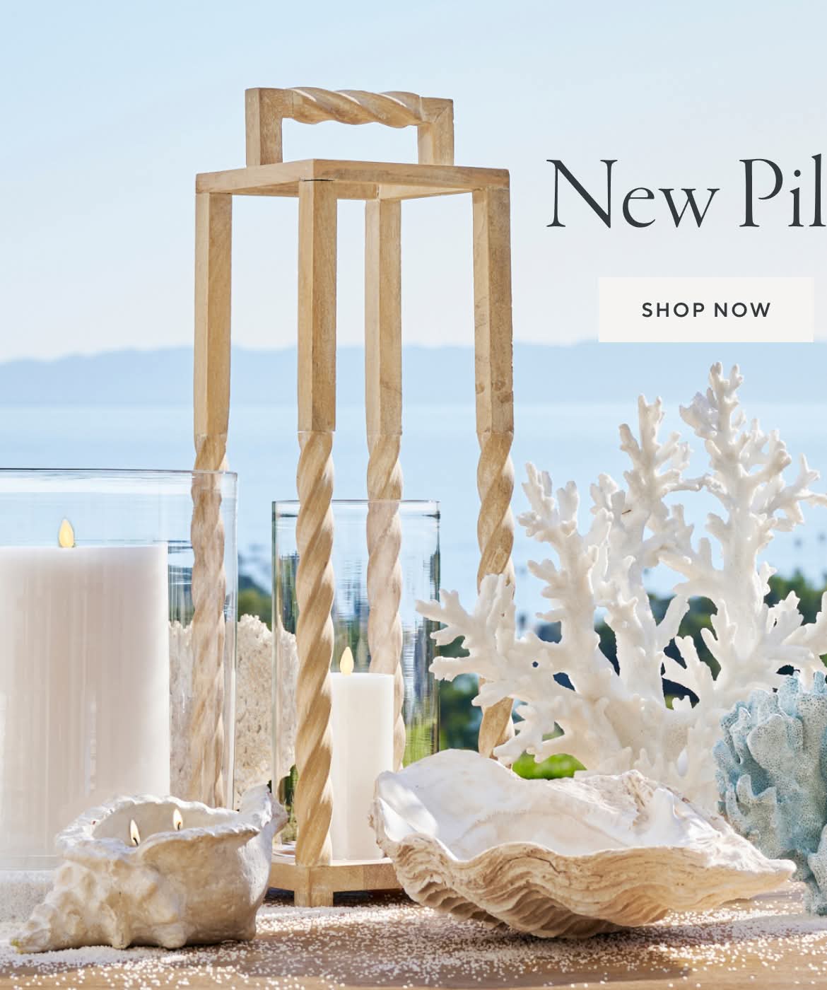 New Pillows & D&eacute;cor