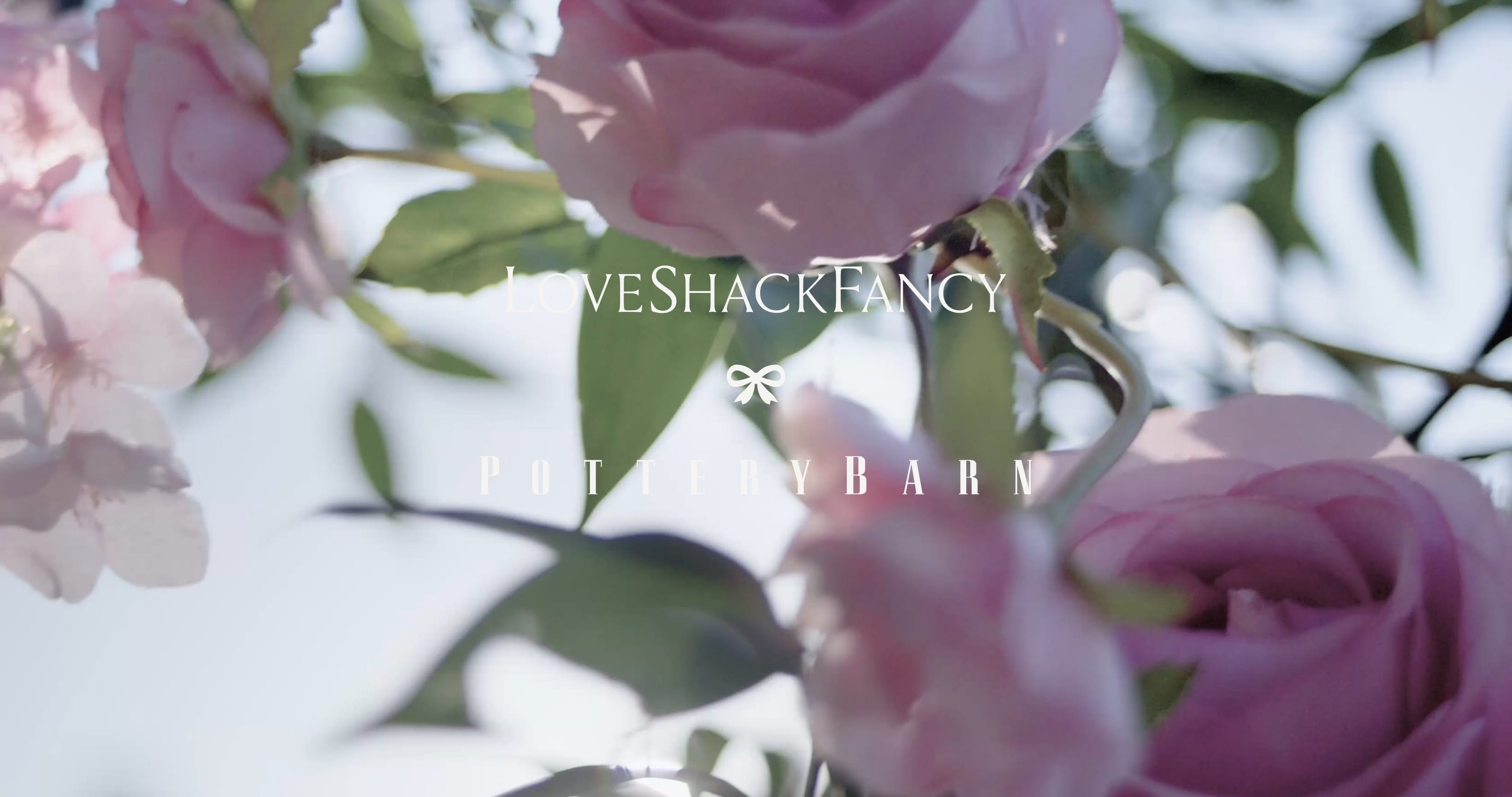 https://player.vimeo.com/video/1213378598