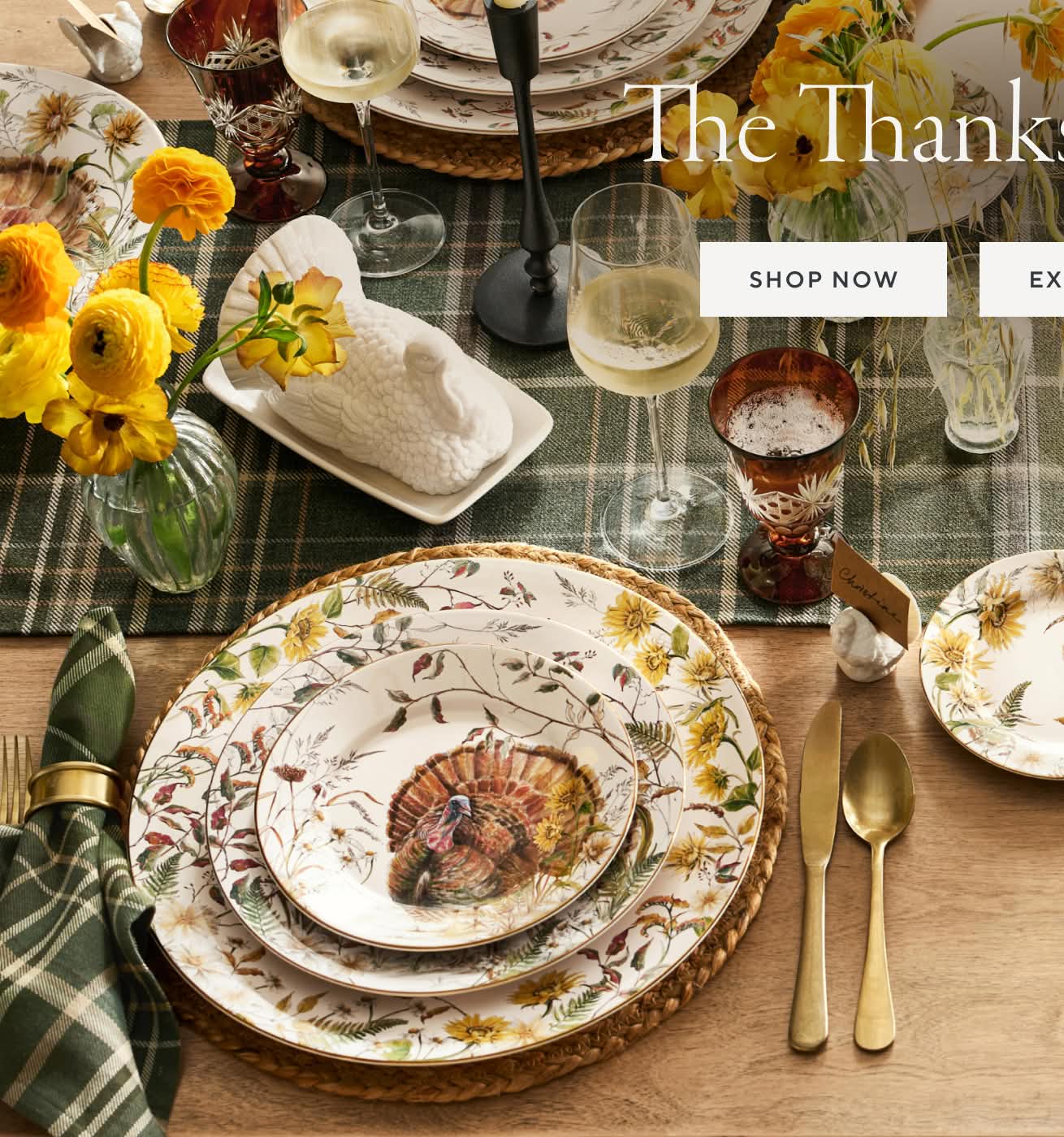 The Thanksgiving Shop