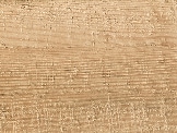 Pale Sand