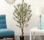 Faux Olive Tree | Pottery Barn