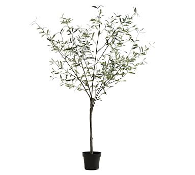 Faux Potted Olive Trees