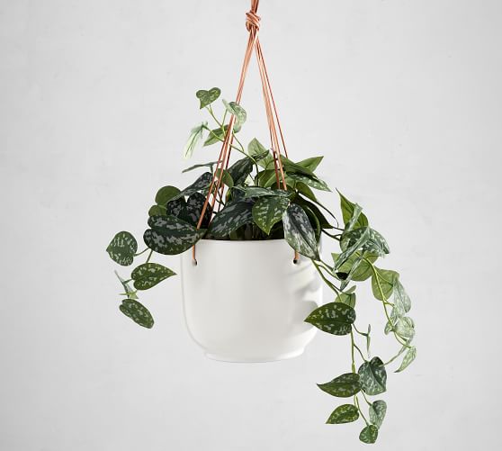 Mason Stoneware Hanging Planters Pottery Barn