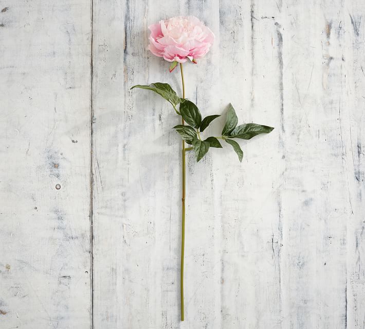 Faux Peony Stems Artificial Flowers Pottery Barn