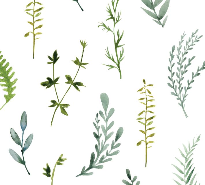 Botanical Foliage Removable Wall Decal Pottery Barn