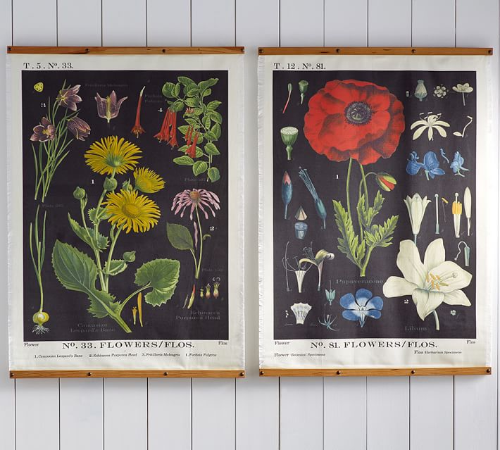 Botanical Printed Canvas Wall Art Pottery Barn - Botanical Wall Art Pottery Barn Botanical Printed Canvas Wall Art Pottery Barn - Botanical Wall Art Pottery Barn