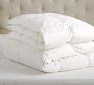 White Goose Down Feather Pillows Pottery Barn