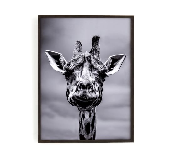Giraffe Framed Print Pottery Barn