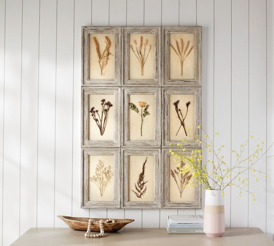 Aiden Pressed Fls Wall Art Decor Pottery Barn - Botanical Wall Art Pottery Barn Aiden Pressed Fls Wall Art Decor Pottery Barn - Botanical Wall Art Pottery Barn
