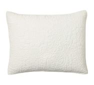Pillow Covers | Pottery Barn