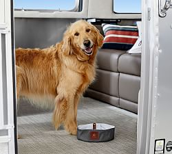 pottery barn dog bowls