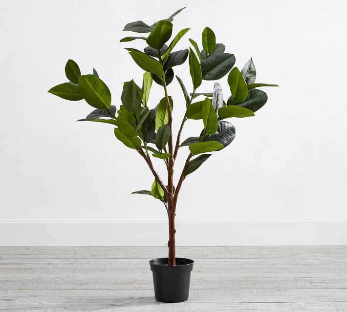 Faux Potted Rubber Tree | Pottery Barn