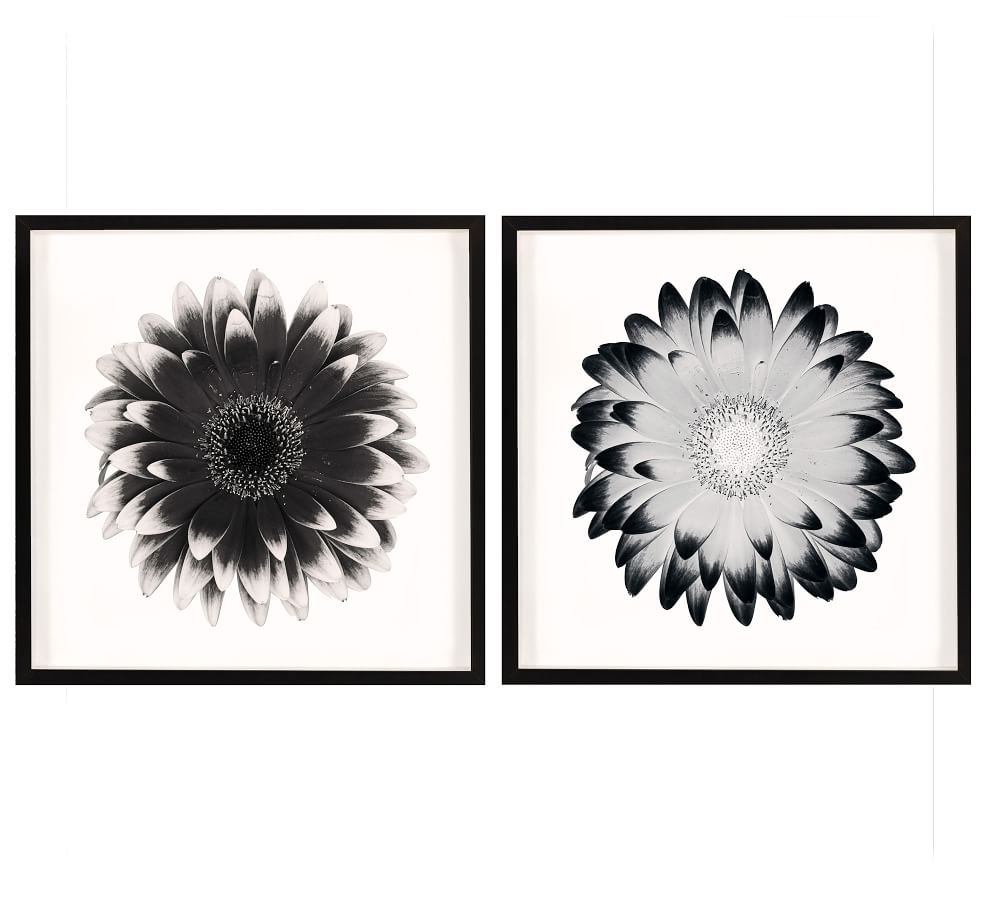 Black & White Flowers Framed Prints | Pottery Barn