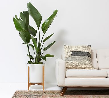 planters indoor modern ceramic stand wooden pottery barn