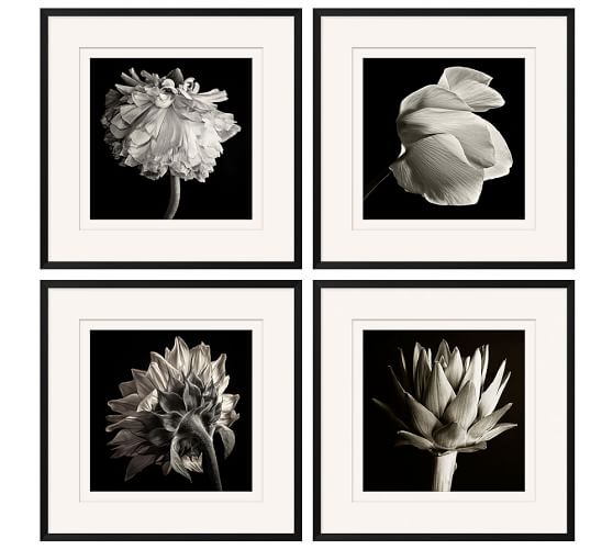 black and white photo art framed