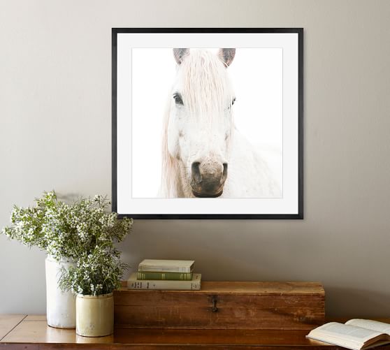 White on White Horse Framed Print by Jennifer Meyers | Pottery Barn