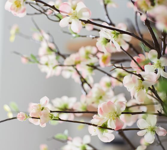 Faux Sakura Cherry Blossom Branch Pottery Barn Faux Sakura Cherry Blossom Branch Pottery Barn