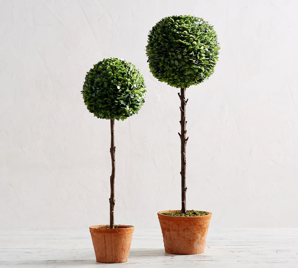 Faux Boxwood Ball Topiary Trees Pottery Barn Faux Boxwood Ball Topiary Trees Pottery Barn